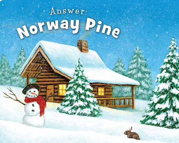 Little Minnesota Board Book