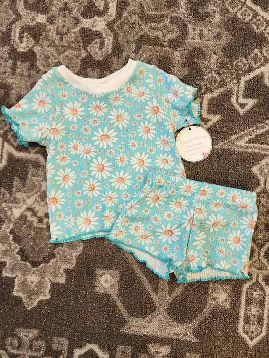 Aqua Daisy set