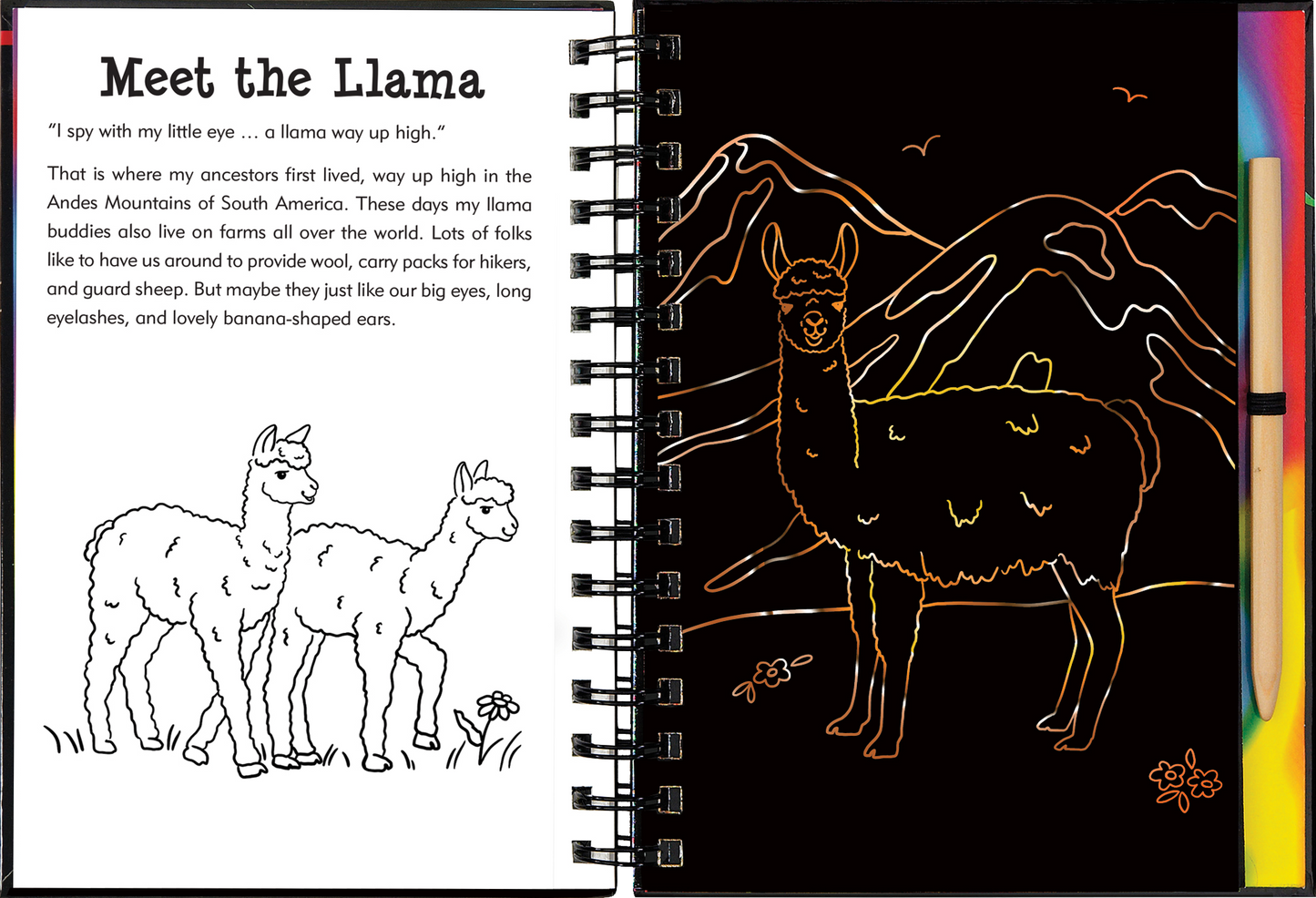 Llamas & Friends Scratch & Sketch™