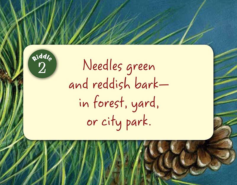 Little Minnesota Board Book