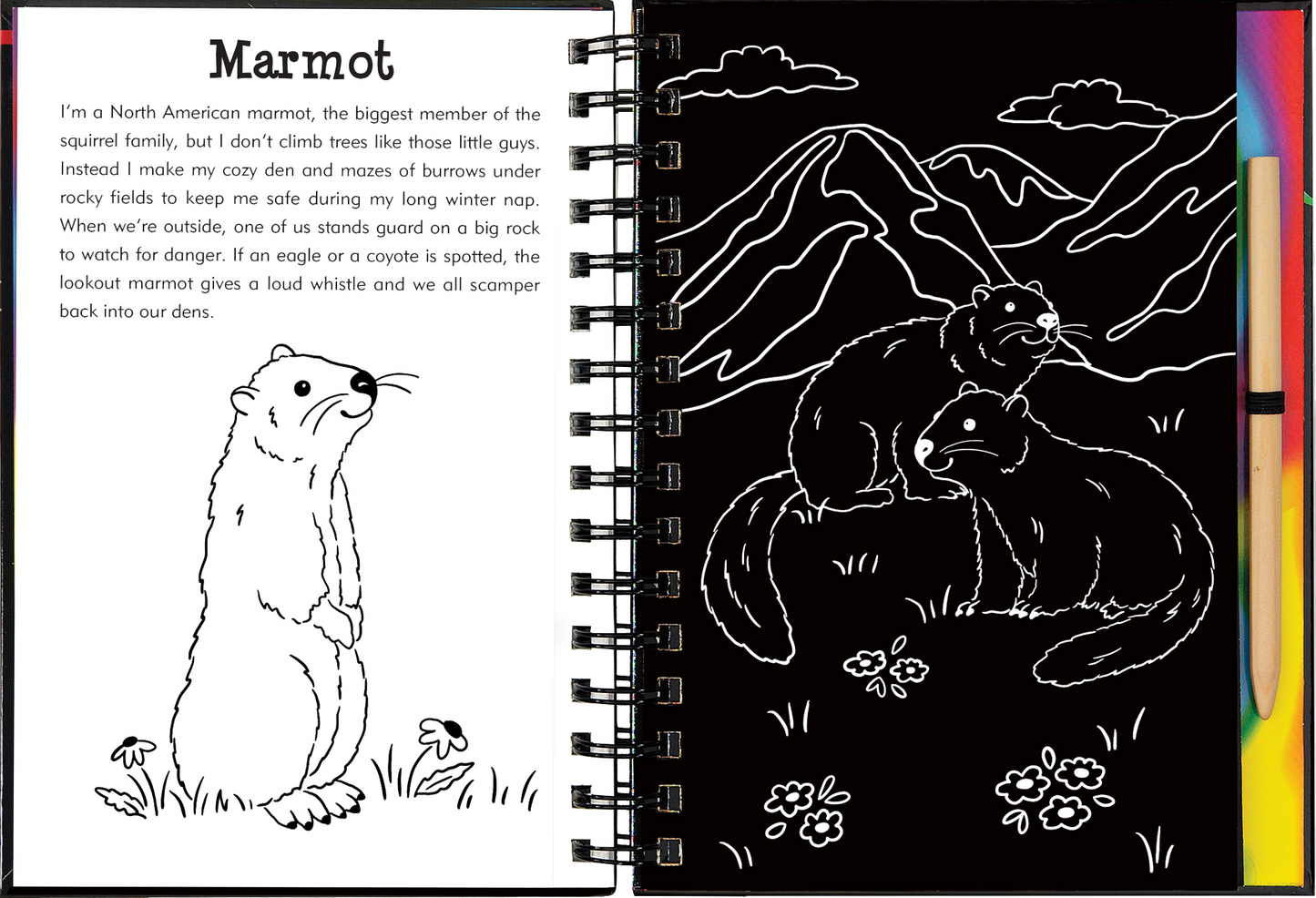 Llamas & Friends Scratch & Sketch™