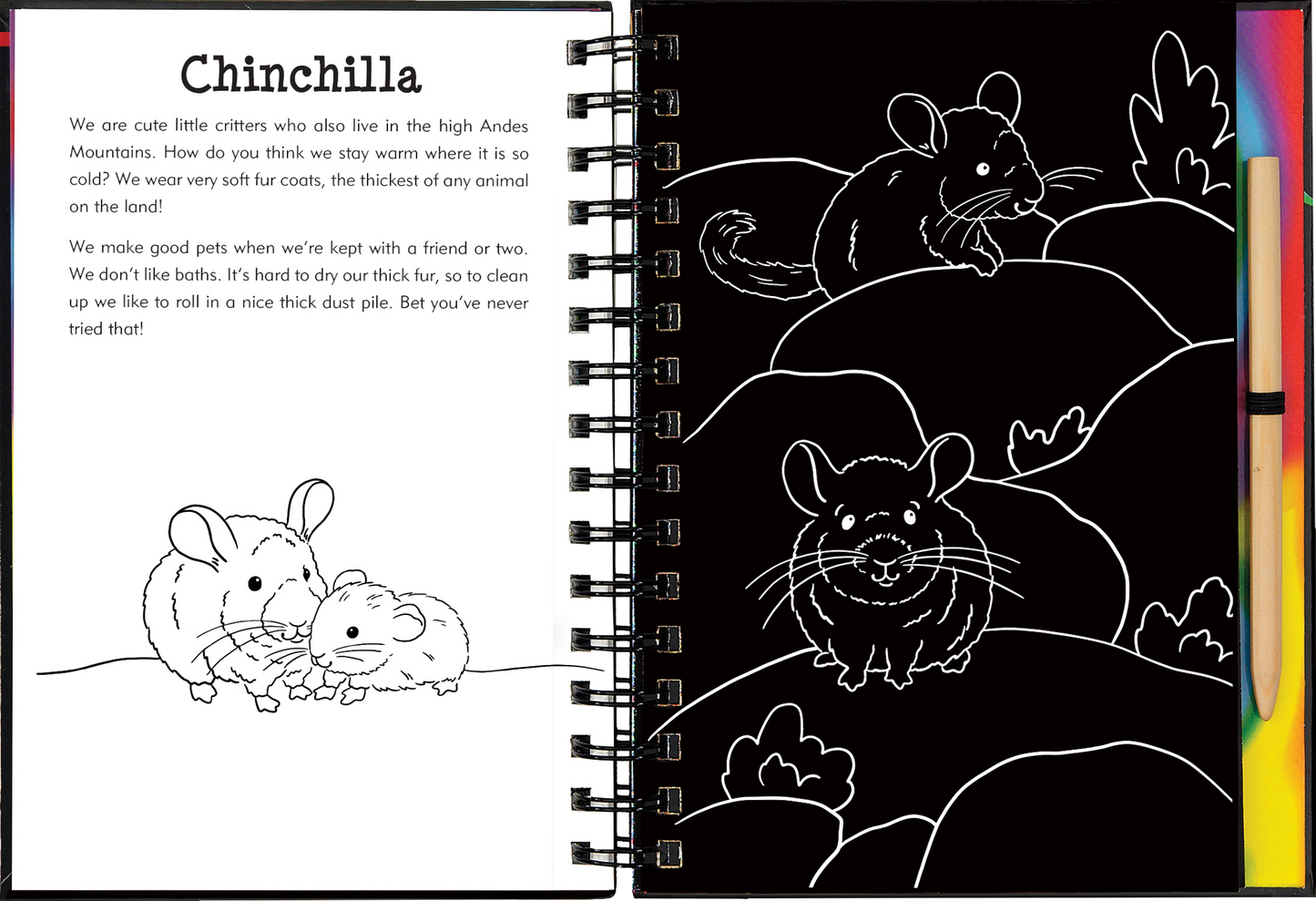 Llamas & Friends Scratch & Sketch™