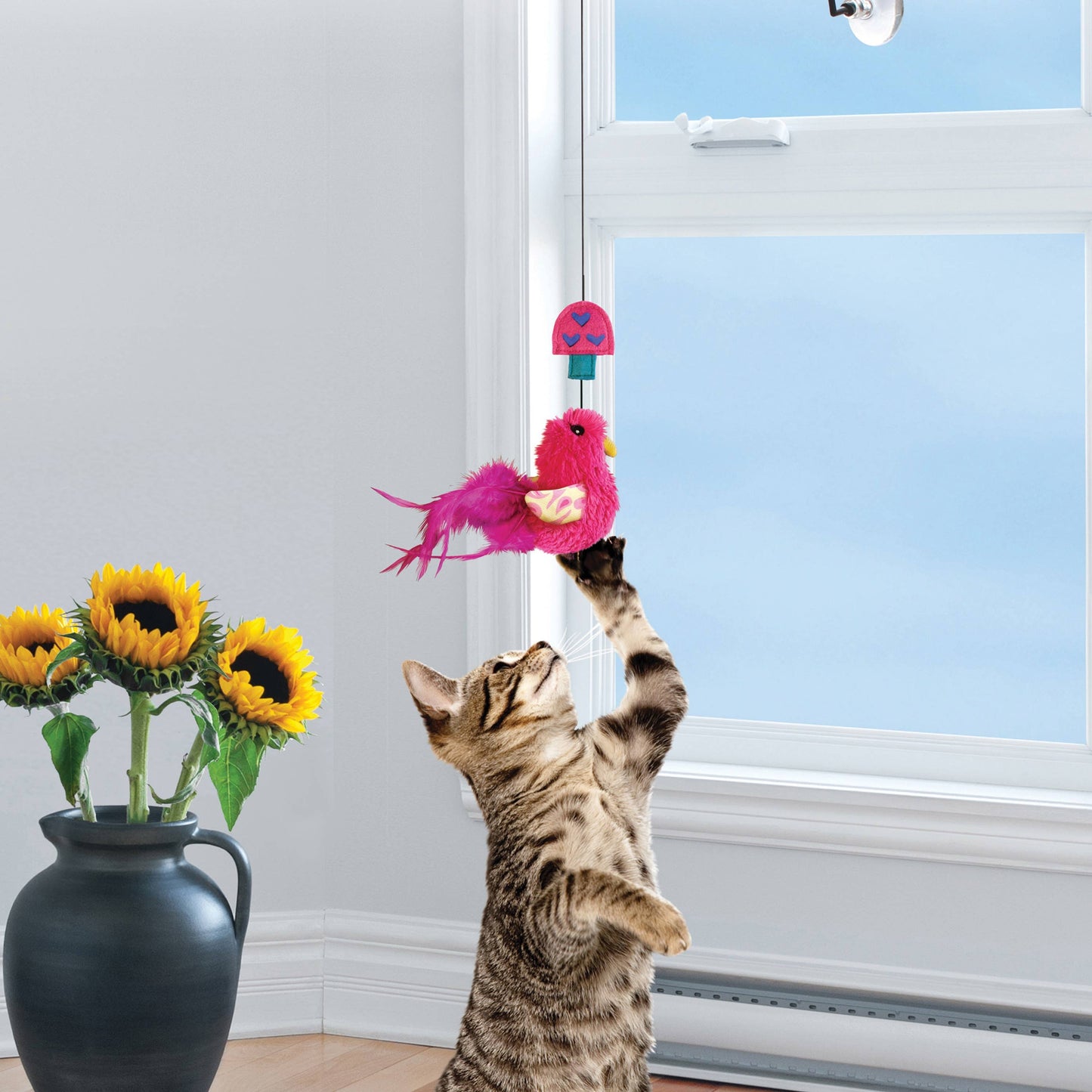 KONG® Connects Window Teaser Assorted Cat Toy