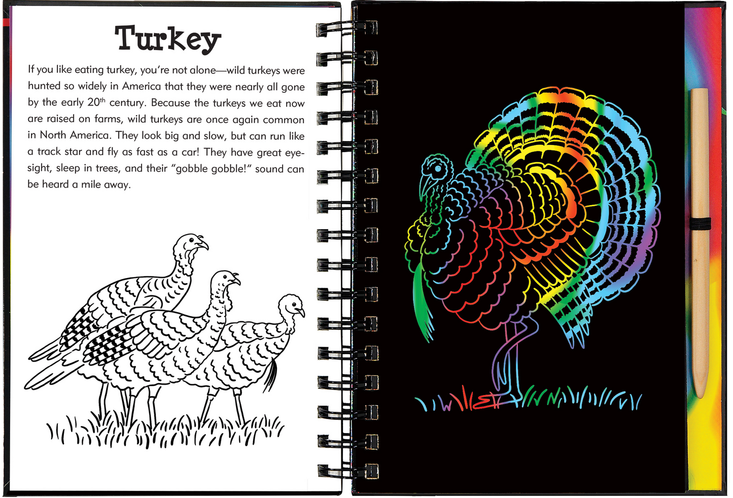 Forest Friends Scratch & Sketch™