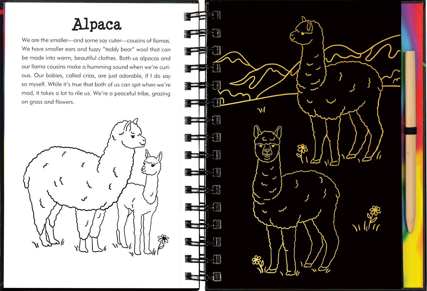 Llamas & Friends Scratch & Sketch™
