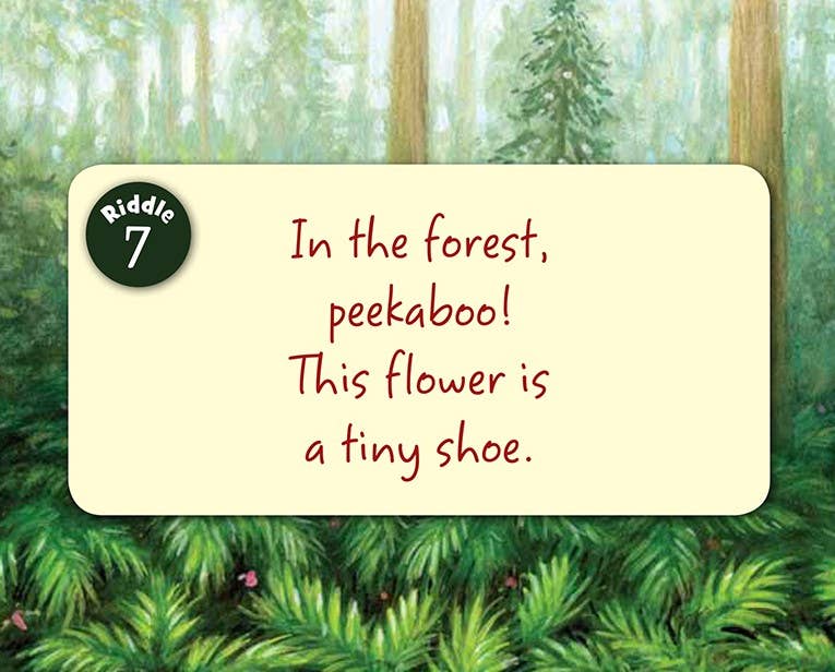 Little Minnesota Board Book