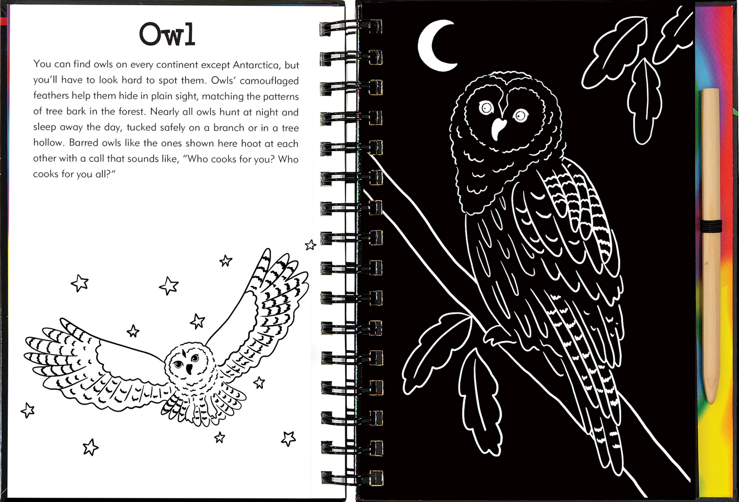 Forest Friends Scratch & Sketch™