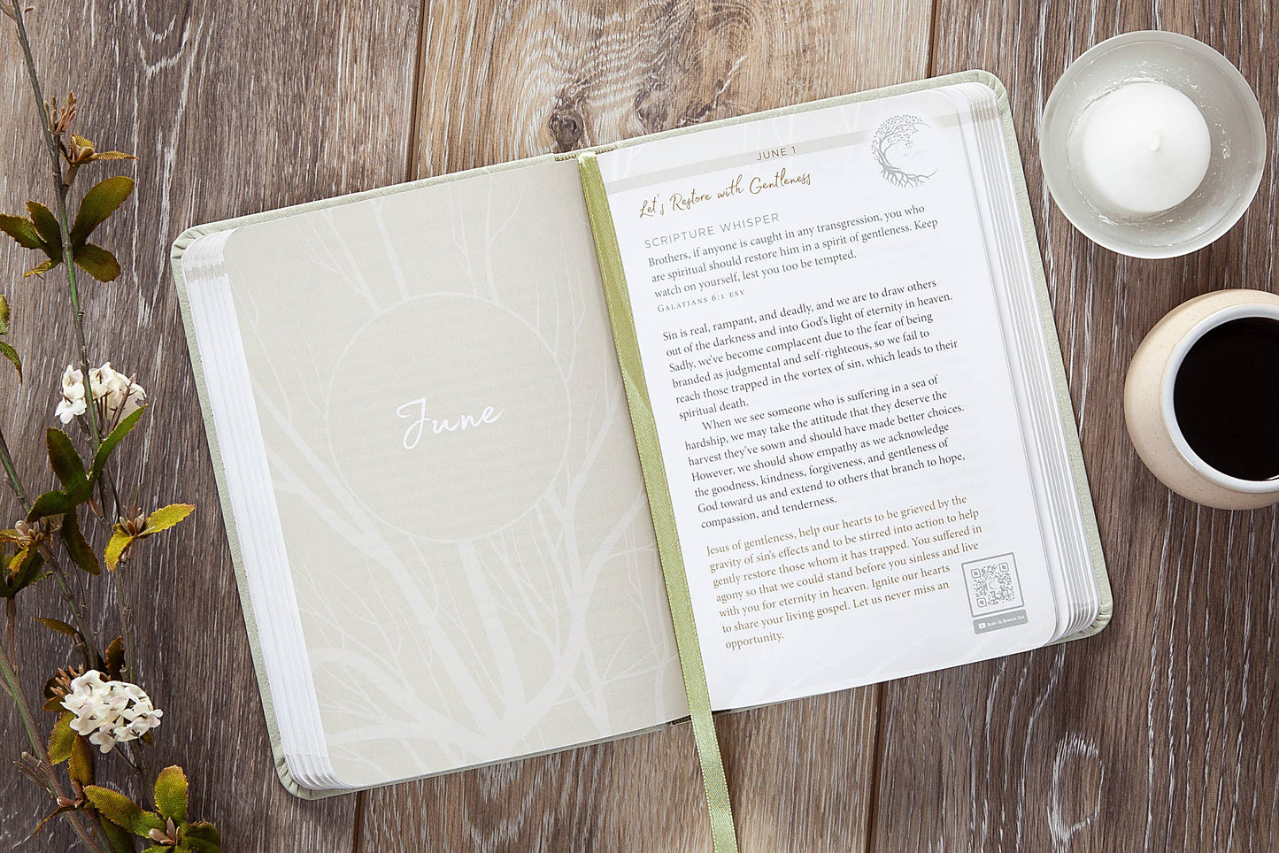 Pause and Pray (Daily Devotional)