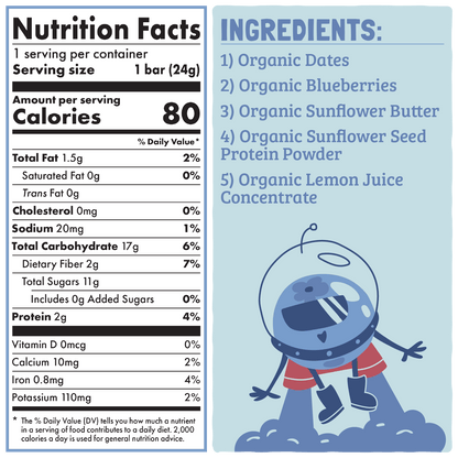 Skout Organic Blueberry Blast Kids Snack Bar | Nut-Free