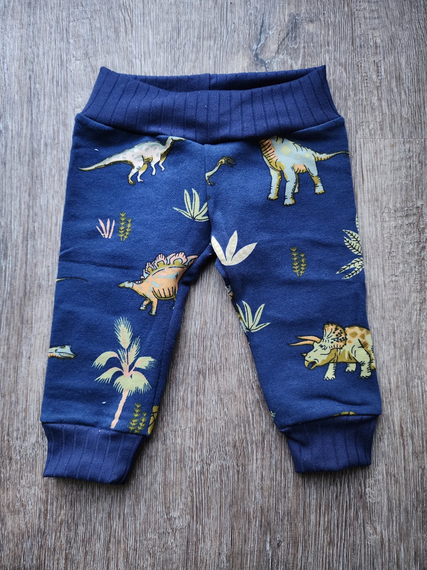 Dinosaur Leggings