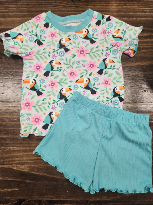 Toucan set