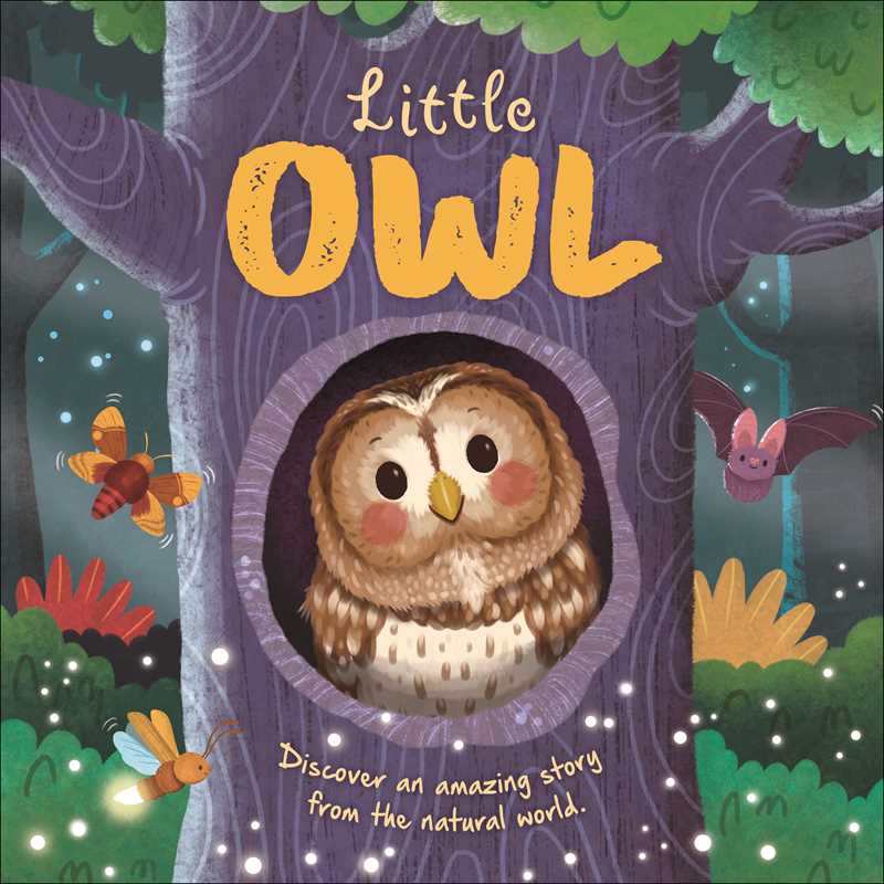 Nature Stories: Little Owl-Discover an Amazing Story from the Natural World by IglooBooks: Board Books