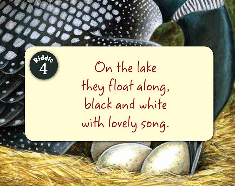 Little Minnesota Board Book