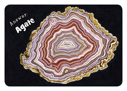 Little Minnesota Board Book