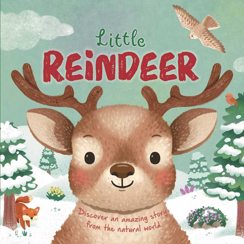 Nature Stories: Little Reindeer by IglooBooks: Board Books
