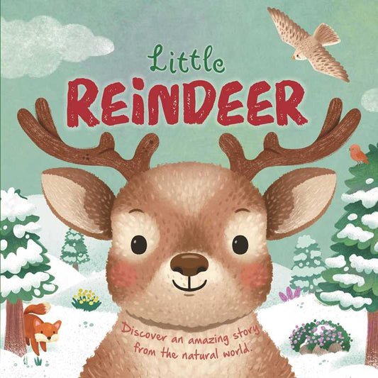 Nature Stories: Little Reindeer by IglooBooks: Board Books