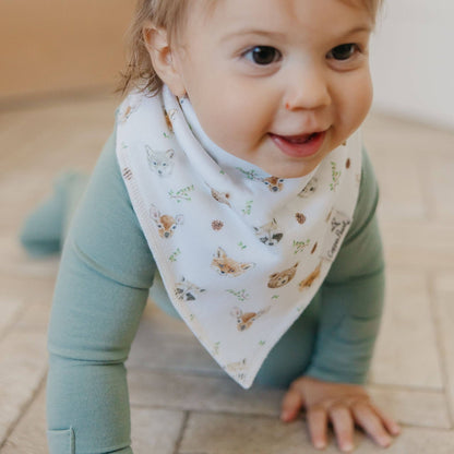 4 Pack Baby Bandana Bibs - Wilder