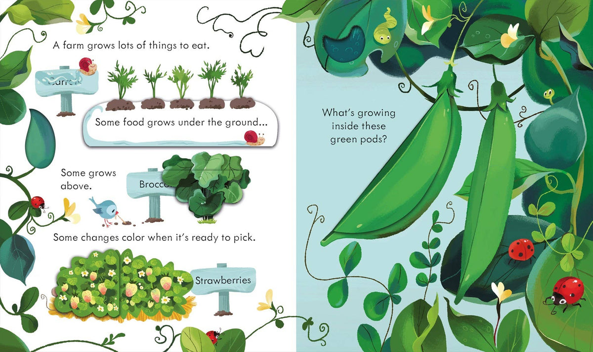 Peek Inside the Farm : Usborne