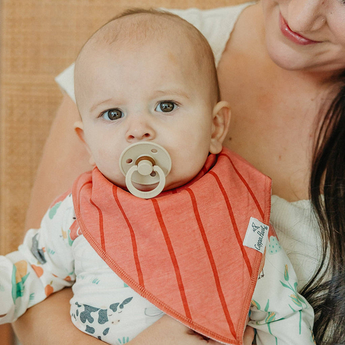 4 Pack Baby Bandana Bibs - Farmstead