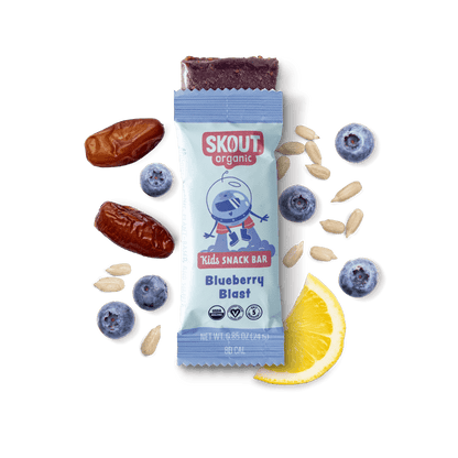 Skout Organic Blueberry Blast Kids Snack Bar | Nut-Free