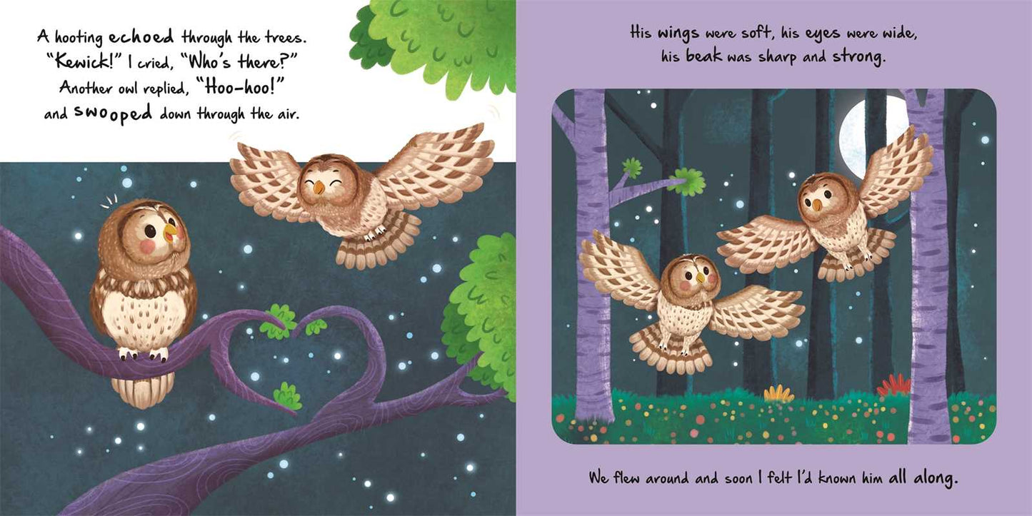 Nature Stories: Little Owl-Discover an Amazing Story from the Natural World by IglooBooks: Board Books