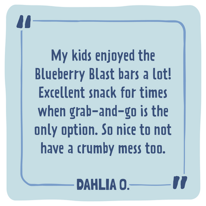 Skout Organic Blueberry Blast Kids Snack Bar | Nut-Free