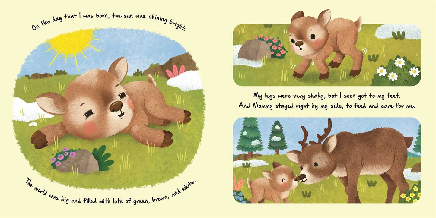 Nature Stories: Little Reindeer by IglooBooks: Board Books