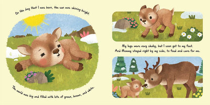 Nature Stories: Little Reindeer by IglooBooks: Board Books
