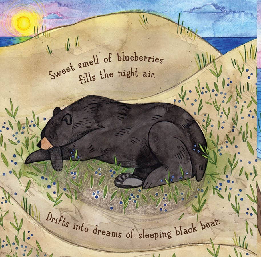 Hush-a-Bye Night Goodnight Up North Board Book