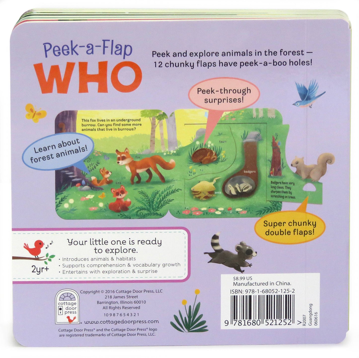 Who Interactive Lift a Flap Board Book