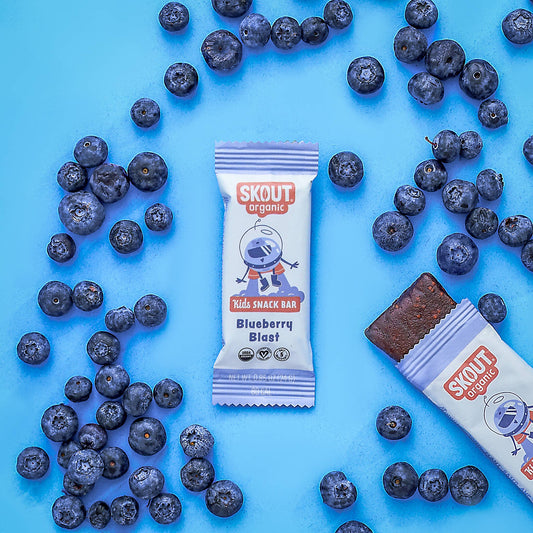 Skout Organic Blueberry Blast Kids Snack Bar | Nut-Free