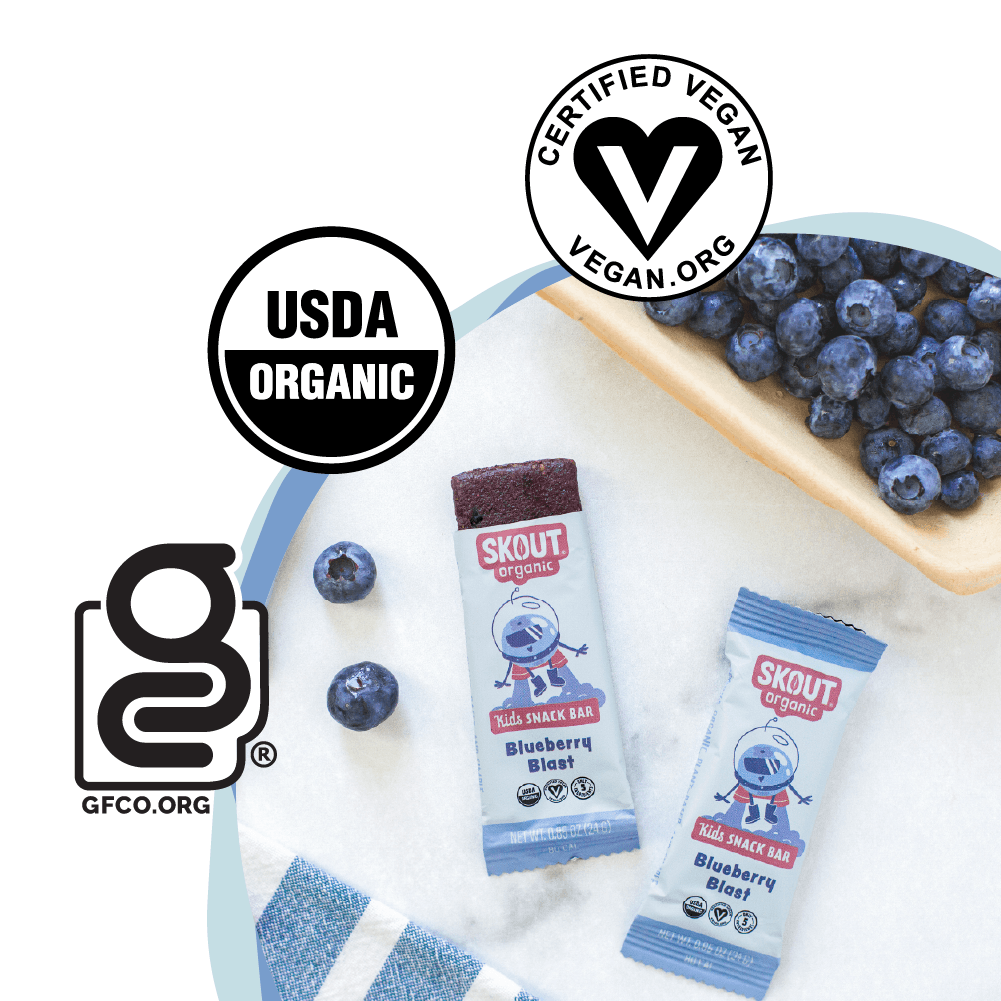 Skout Organic Blueberry Blast Kids Snack Bar | Nut-Free