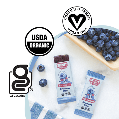 Skout Organic Blueberry Blast Kids Snack Bar | Nut-Free