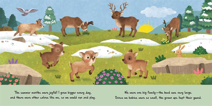 Nature Stories: Little Reindeer by IglooBooks: Board Books