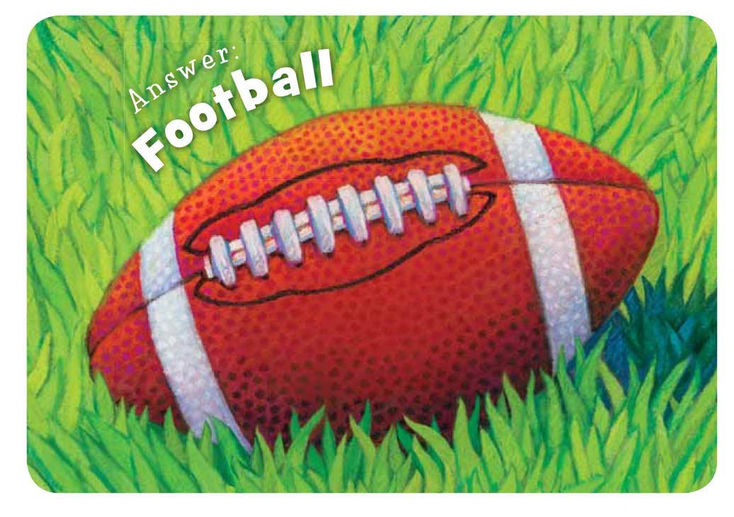 Little Football Board Book