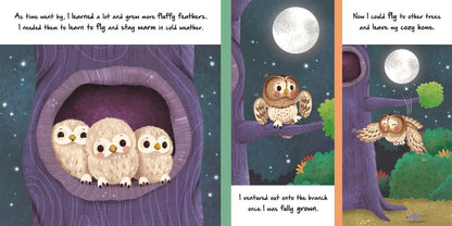 Nature Stories: Little Owl-Discover an Amazing Story from the Natural World by IglooBooks: Board Books