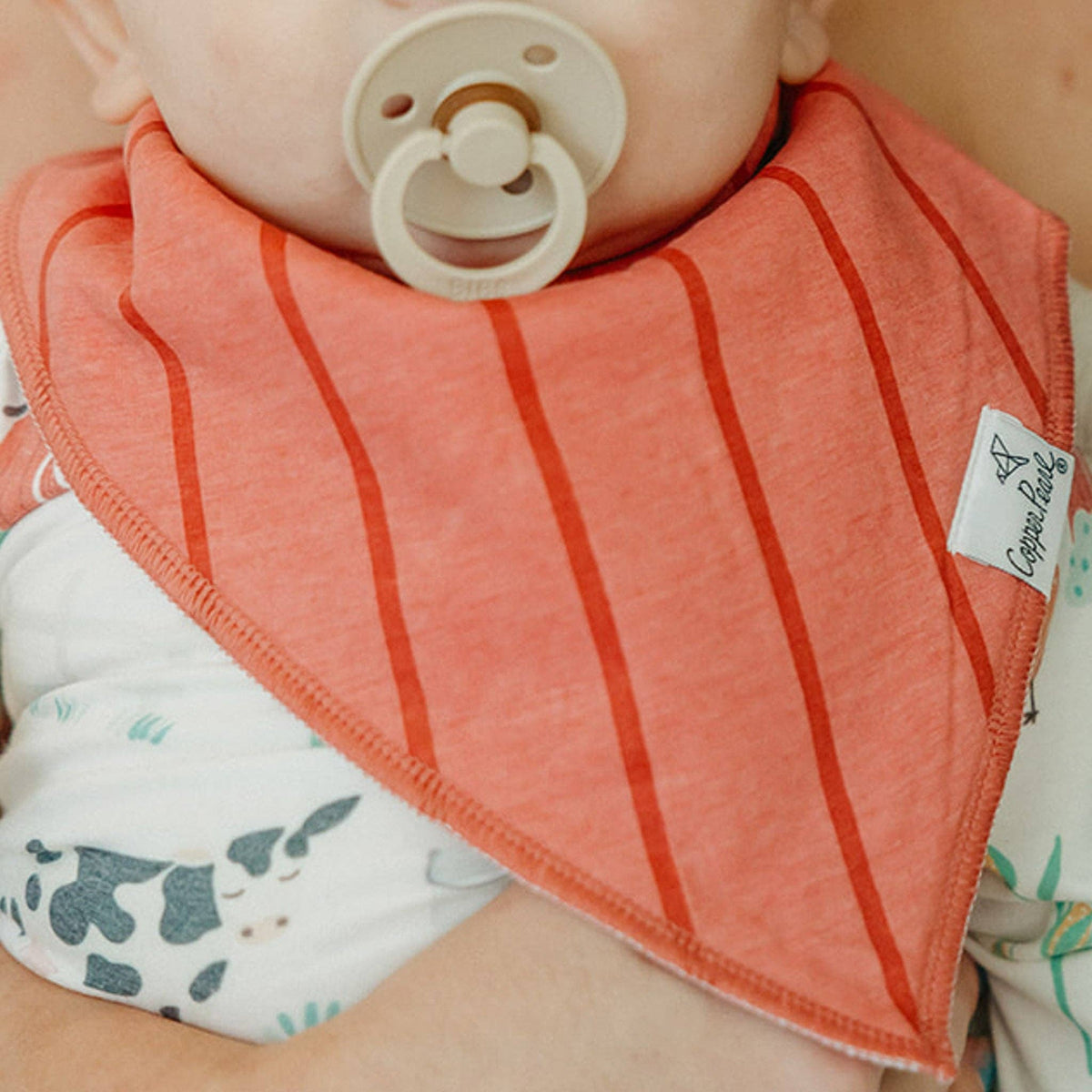 4 Pack Baby Bandana Bibs - Farmstead
