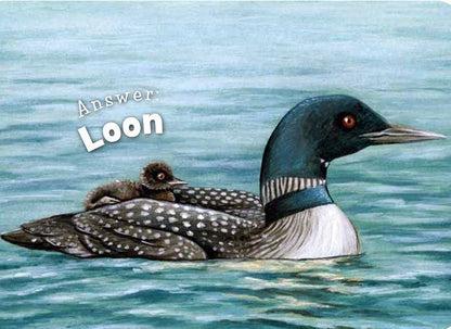 Little Minnesota Board Book