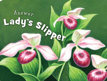 Little Minnesota Board Book