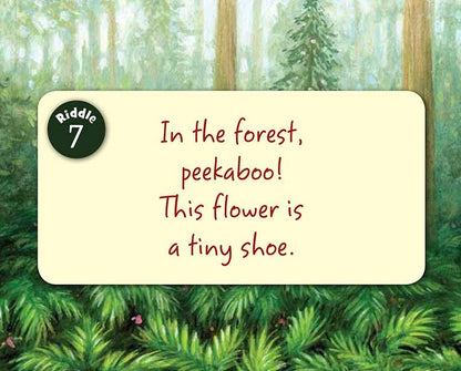 Little Minnesota Board Book