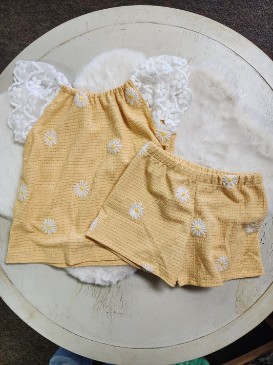 Yellow Daisy Set